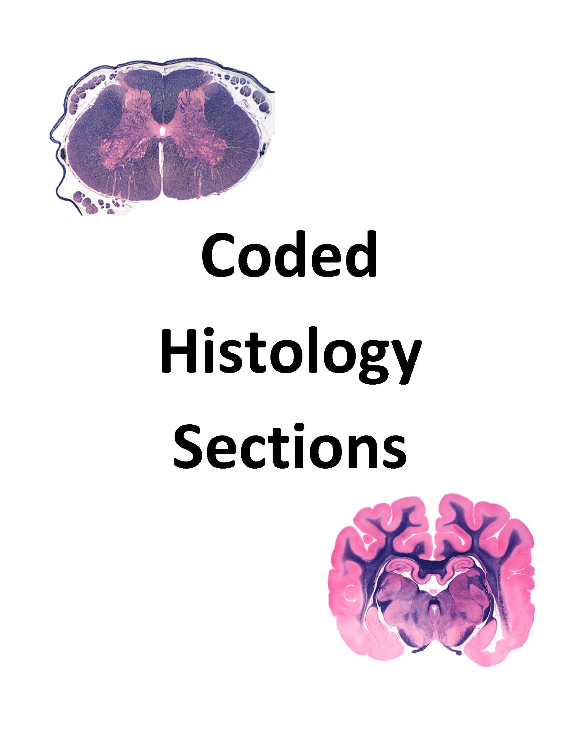 VIBS/NRSC 603 - Coded Histology Sections - Fall 2022